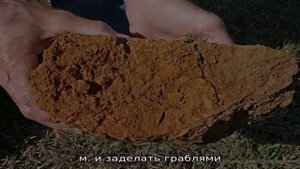 Удобрения почвы при посадке чеснока: особенности подкормок для ярового и летнего чеснока
