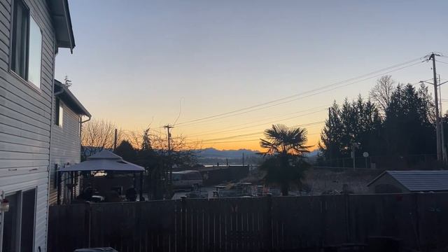 Day off Orchid Vlog 1-29-23: The best mislabeled orchid ever! смотреть онлайн