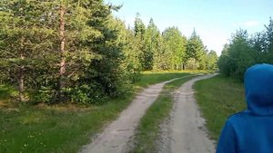 каникулы в деревне. Часть вторая. семейный поход. Ночная рыбалка.