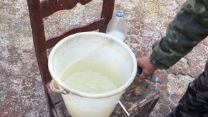 Пробиотики. Польза пробиотиков и как их использовать для кормления голубей.