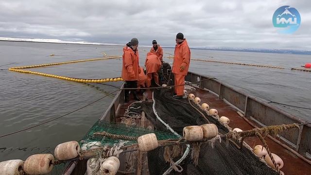 Морской ставной невод схема