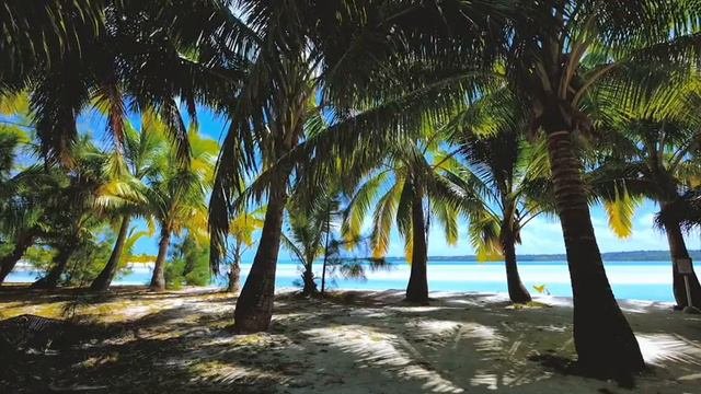 Jazz Music At The Beach, Smooth Bossa Nova Music, Saxophone Jazz Music