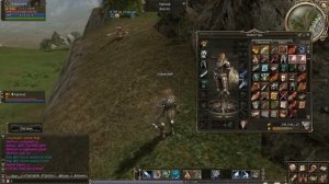 Мэддисон развел Хованского в LINEAGE 2