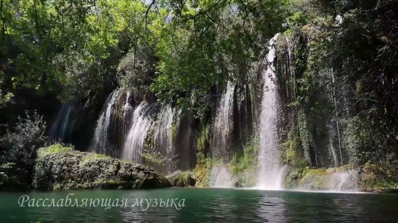 Звуки природы Шум воды Звуки леса Расслабляющие звуки