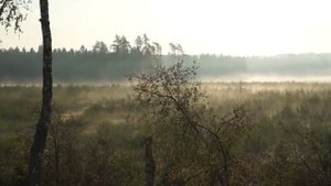 Виктория, Раково, Подмосковье, санаторий, сентябрь 2017