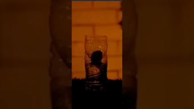 удивительно просто прорастить грецкий орех ? смотреть онлайн