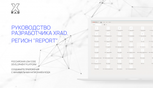 Руководство разработчика XRAD. Регион "Report"