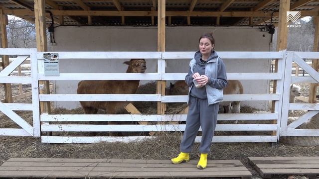 Сельский кластер (29.03.2023) смотреть онлайн