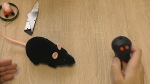 ИГРУШКА МЫШКА НА РАДИОУПРАВЛЕНИИ ! ИГРАЮ СО СВОИМ КОТИКОМ !