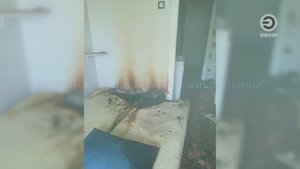 НЕ ПОЖАР, А КАКОЙ-ТО ПОЛТЕРГЕЙСТ, УДИВЛЯЮТСЯ СОСЕДИ ПОГОРЕЛЬЦА.