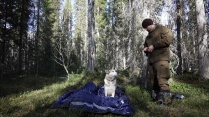 ПОХОД В ТАЙГУ НА 2 ДНЯ С ПАЛАТКОЙ. ЗАГОТОВКА ДРОВ. ЕДА НА КОСТРЕ. Добрые походы.
