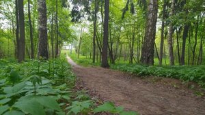 Тренировка спринтера в парке. Мастер-класс от Анны Олеговны.