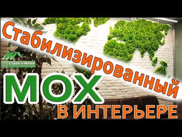 Стабилизированный Мох в Интерьере Загородного Дома, как вариант озеленения. Строй и Живи.