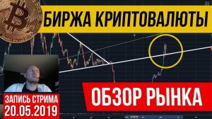 Биткоин прогноз | Биржа криптовалюты | Трейдинг обучение 2019 | Обзор рынка