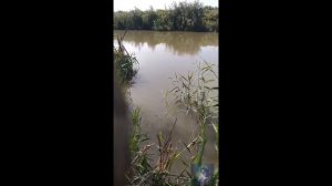 Эх на рыбалочку бы сейчас.