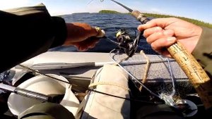 Щука,багорик и ...незадачливый рыбак.(Ошибки наказуемы.)