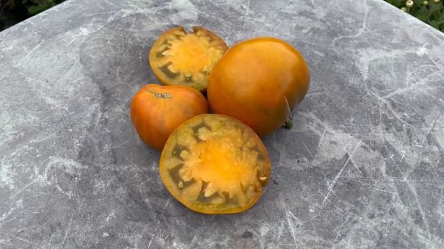 Коричневий Дербі із ферми Ельзерів. Elser Farm’s Brown Derby смотреть онлайн