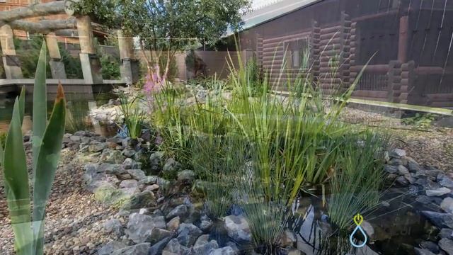 Водоем с подвесным мостиком - небольшой обзор смотреть онлайн