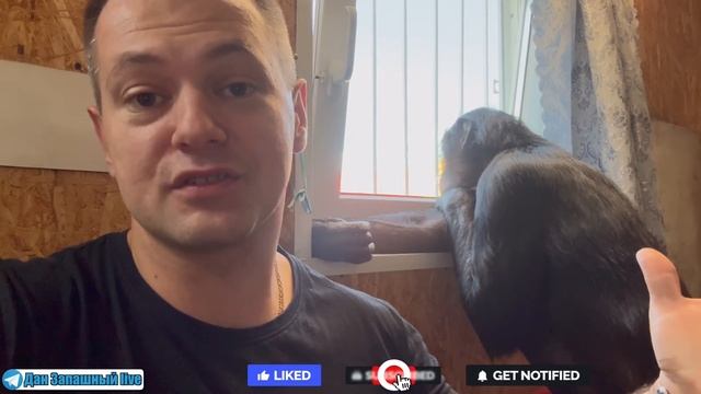 ЗАСТРЯЛИ ВО ВЛАДИКАВКАЗЕ! ПРОБЛЕМЫ с ДОКУМЕНТАМИ, поломанный генератор, жизнь на АЗС смотреть онлайн