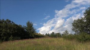 Мой Родной Невель !