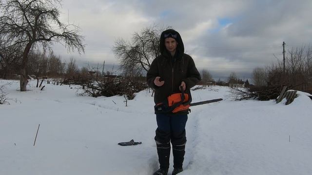 Patriot 3816 в работе. Валим дерево правильно. / Из Москвы в деревню 11