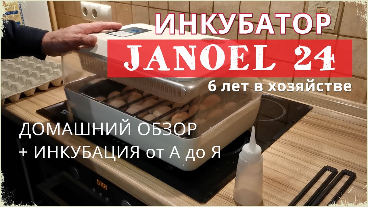 Лучший инкубатор JANOEL 24 - пошагово от закладки яиц до вылупления птенцов.