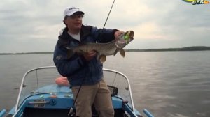 Рыболов - эксперт. Спиннербейты