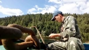 Ловля леща в берсуте