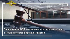 Ирина Волк: Следователем ОВД направлено в суд уголовное дело о мошенничестве с арендой квартир