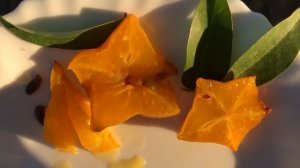 Карамбола \ Averrhoa carambola \ Star fruit