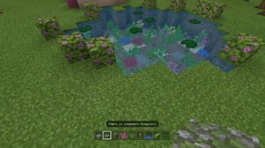 Как построить озеро для аксолотлей в майнкрафт?