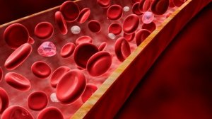 ЗОЛОТАЯ КРОВЬ СУЩЕСТВУЕТ?