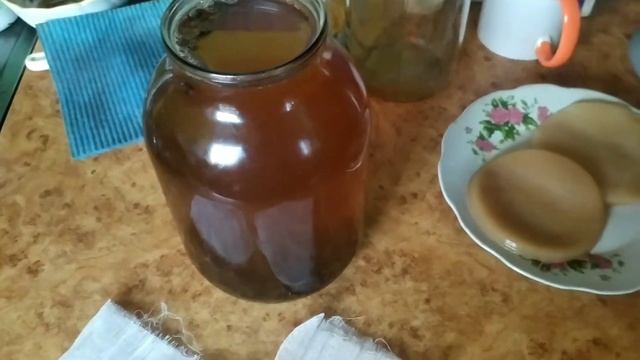 Квас Комбуча із чайного гриба. Як приготувати цілющий корисний настій смотреть онлайн