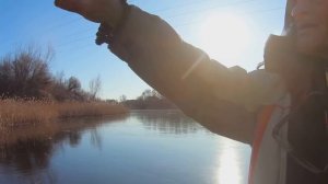 Первый лёд 2024 на болоте!!! КАРП и КАРАСЬ со ЛЬДА ЗИМОЙ!!! Рыбалка на жерлицы. Зимняя рыбалка