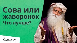 Можно ли работать ночью?