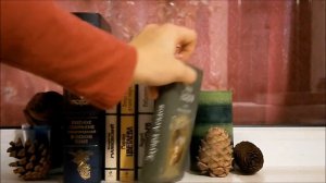 Тур по книжным полкам 2\3