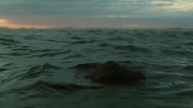 Промо Mr. Moon | Санкт Петербург смотреть онлайн