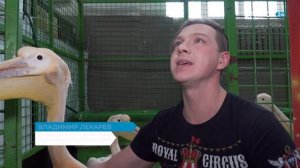Цирк Гия Эрадзе