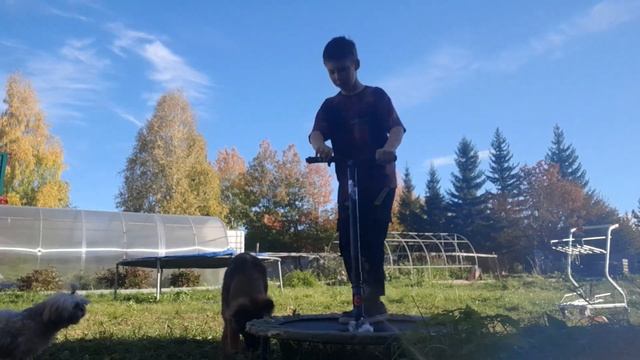 самодельный самокат для батута реально прыгал