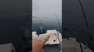 10.05.24г. открытие сезона, тролинг симы, приморский край. удачно