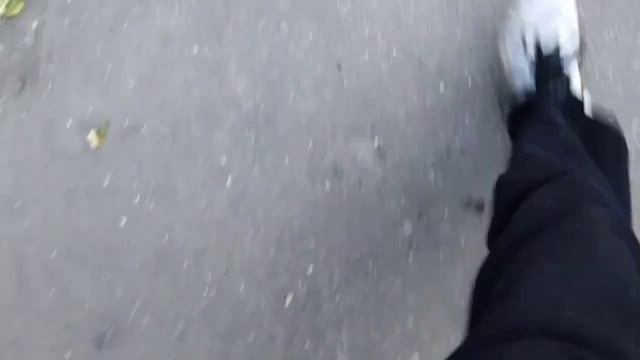 обзор на самую дорогую дыню в мире! смотреть онлайн