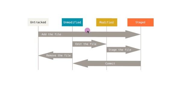 Four Stage of Git File