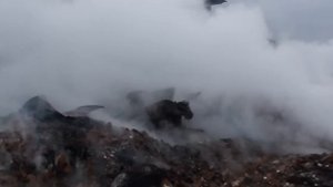 3. Пожар на выборах. Конеферма Хасана Идиятуллина