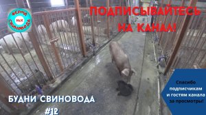 А не совершить ли нам побег?