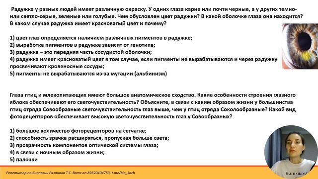 8  Анализаторы для ЕГЭ. Строение глаза, уха, вестибюлярного аппарата, органа вкуса и обоняния.