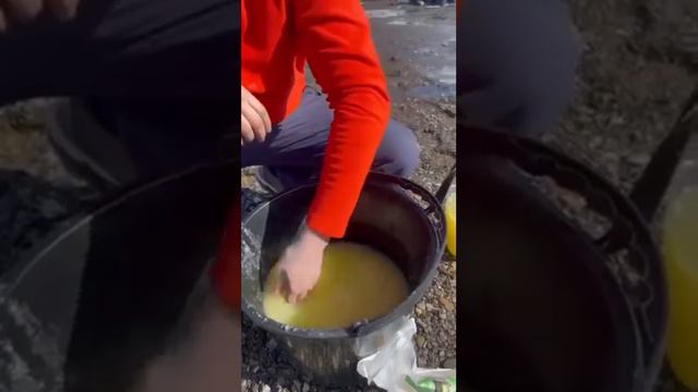 ГИДРОГЕЛЬ ДЛЯ ПОСАДКИ ЗКС СЕЯНЦЕВ #лесовосстановление #сеянцы #зкс #саженцы #хвойные #сосна #ель