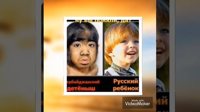 Вот такие зверьки