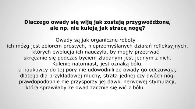 Dlaczego bujanie się na fotelu jest relaksujące? | Proste odpowiedzi na nurtujące pytania