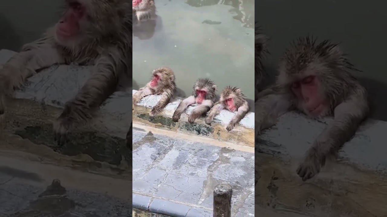 Девки смыли макияж смотреть онлайн