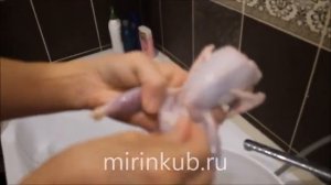 Перосъемная машина ПМ-2М для перепелов